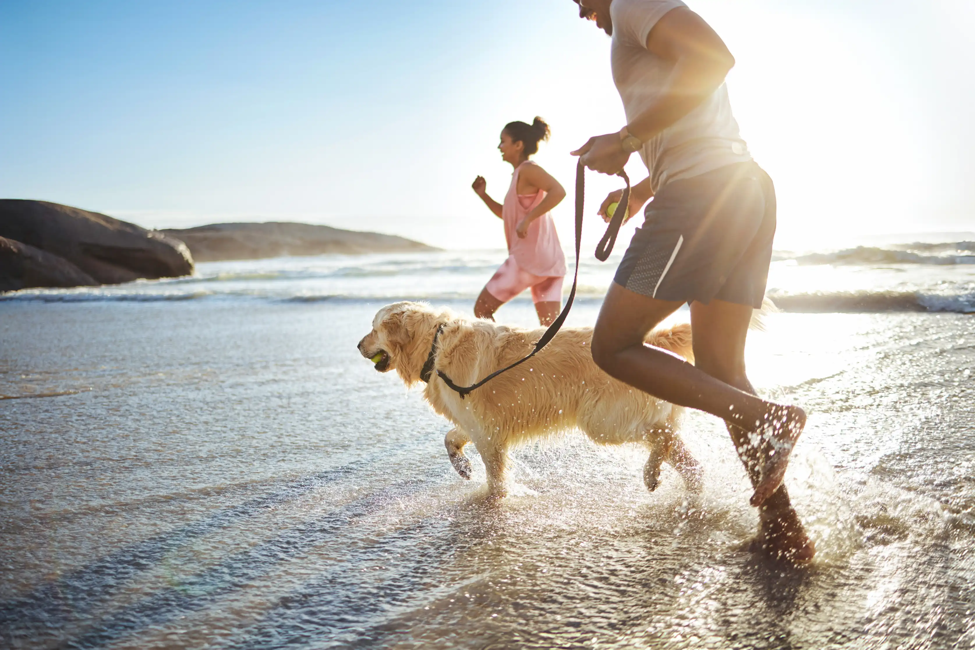 Two people running along the shoreline with a golden retriever dog on a leash during golden hour sunset.
	A person runs ahead while another holds the dog's leash. 
	Rocky cliffs and ocean waves are visible in the background with bright sunlight creating a backlit 
	glow around the figures.
